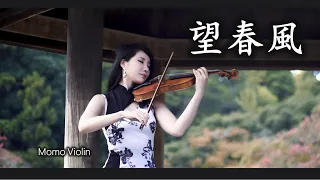 望春風 -  台灣民謠 小提琴(Violin Cover by Momo)望春風 バイオリン カバー