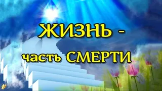 ЖИЗНЬ ПОСЛЕ СМЕРТИ. Свидетельство Тима. Клиническая смерть рассказ /(nde 2023)// ЛУНА - ДУША