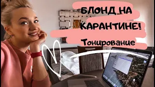 БЛОНД на карантине! КЕРАТИН! ТОНИРОВАНИЕ волос! Курица!