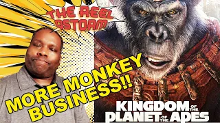 KINGDOM OF THE PLANET OF THE APES MOVIE REVIEW - THE REEL QSTORM