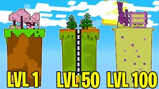 CHUNK LIVELLO 1 Vs CHUNK LIVELLO 100 Su Minecraft