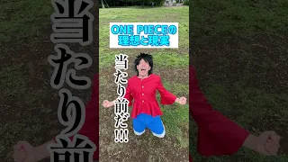 ONE PIECEの理想と現実【ルフィ】【ナミ】【当たり前だ】【麦わらの一味】