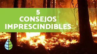 Prevención de INCENDIOS FORESTALES 🔥 ¡Muy Importante!