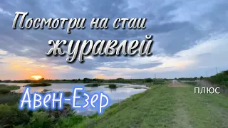 Посмотри на стаи журавлей.  группа Авен-Езер. Плюс.  #христианскиепесни