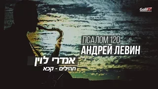 Псалом 120  ✡  Андрей Левин. Израиль