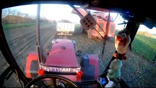 ZETOR CRYSTAL 12145 REAL SOUND - Odvoz řepy z pohledu řidiče | Driver view |  ŘĚPNÁ KAMPAŇ