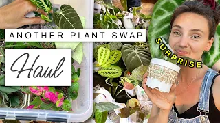 Come Plant SWAPPING With Me! 🌱 House Plant Swap Haul