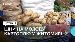 Сезон молодої картоплі на житомирському ринку: які ціни