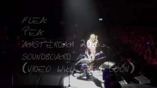 Flea - Pea, Amsterdam 2016 Soundboard audio