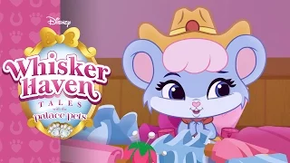 Briezy Does It | Whisker Haven Tales with the Palace Pets | Disney Junior
