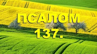 Псалтирь. ПСАЛОМ 137. [рус.]