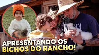 VEM CONHECER OS BICHOS DO RANCHO, PESSOAL!!