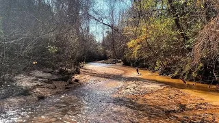 Arrowhead Hunting in Southeast Alabama | Compilation Of All My Finds | (2021 - 2022)