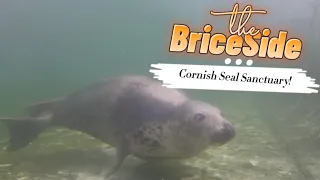 We Visited The Cornish Seal Sanctuary On A Very Wet Day!