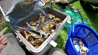 Catching Dozens of BLUE CRABS from a kayak