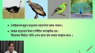 6th Science Body movements Assamese Day 11