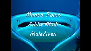Am Manta Point im Addu-Atoll / Malediven – Okt/Nov. 2019