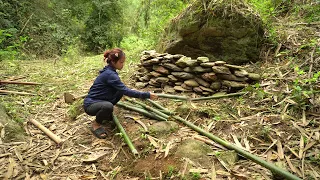 Survivall shelter under big rock - 99 day Free Bushcreaft Hut | Bushwalking in the woods