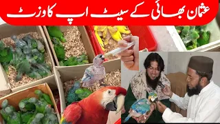 parrot kids news update| setup visit at lalukhet Bird Market| Birds market Karachi|macaw parrot