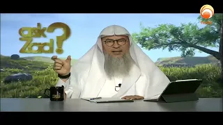 can we sterilize cats and dogs  Sheikh Assim Al Hakeem #fatwa #islamqa #HUDATV