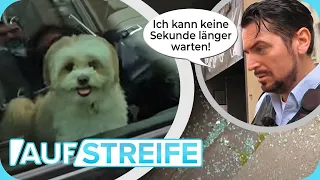 Sindera greift durch: “Das geht auf meine Kappe!” Scheibe EINGESCHLAGEN! | Auf Streife | SAT.1