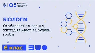 6 клас. Біологія. Особливості живлення, життєдіяльності та будови грибів