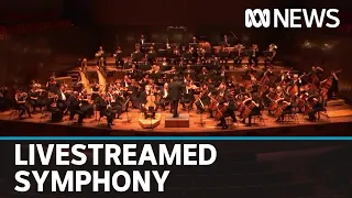 Coronavirus: Melbourne Symphony Orchestra plays on in livestreamed concert | ABC News