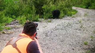 Black Bear Charges Hunter