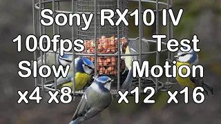 Sony RX10 IV - 100fps Slow Motion Test