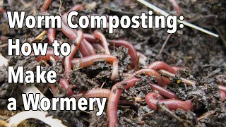 Worm Composting: How to Make a Wormery