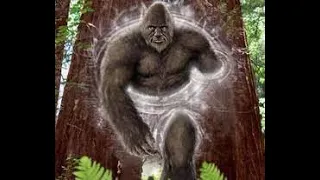 UPDATE: Sasquatch Bigfoot Daylight Sighting in Millville UT on August 2022 Update! SEE DESCRIPTION!