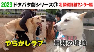 2023狂犬病予防注射会場のドタバタ劇⑪ 北保健福祉センター編