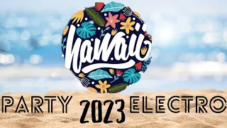 PARTY ELECTRO HAWAI 2024/STEVE AOKI/TIËSTO/DON DIABLO/DAVID GUETTA/KATY PERRY/CALVIN[SIN COMPYRIGHT]