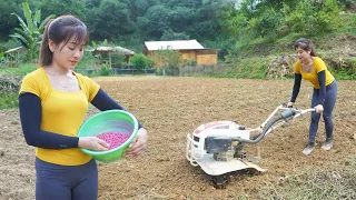 How To Use Compact Harrow, Planting New Corn Crop, OFF GRID FARM - My Bushcraft / Nhất