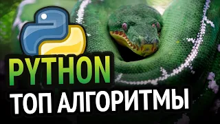 Python 5 алгоритмов для новичка!