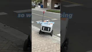 ROBOT Food Delivery in DUBAI!