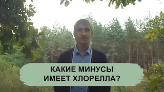 КАКИЕ МИНУСЫ ИМЕЕТ ХЛОРЕЛЛА?