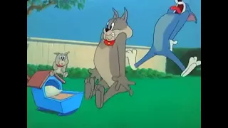 (REUPLOAD) Tom & Jerry "Toms Screams
