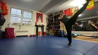 XinHui Choy Lee Fut Kungfu 新会蔡李佛