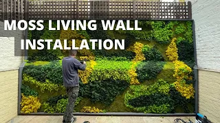 A LIVING MOSS WALL INSTALLATION AT CHELSEA, LONDON