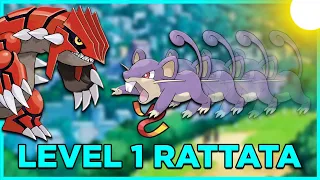 How To Beat A Level 1 Rattata