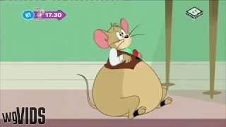Mouse Weight Gain
