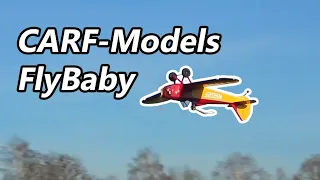 CARF-Models FlyBaby