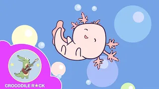 Axolotl Song | Original music for kids | Meet the cutest Mexican salamander