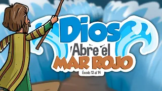 Dios abre el Mar Rojo ⚔️🌊  | Historia de la Biblia | Mi Primera Biblia | 23