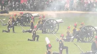 A 41 Gun Salute by the King's Troop Royal Horse Artillery in Green Park