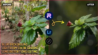 Blur Image Background | Mobile Photo Editing Tutorial | Lightroom Color Grading | PhotoRoom Editing