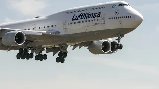 plane spotting Lufthansa Boeing 747 landing into LAX
