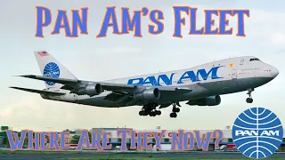 Pan Am. Where Is Their Fleet Today? 2023 Update.