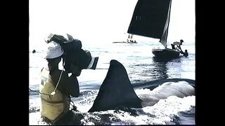 Jaws 2(1978) Home Video/DVD Trailer